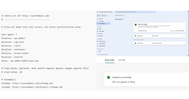 Robots.txt file example with Google Search Console URL inspection and Bing index success message