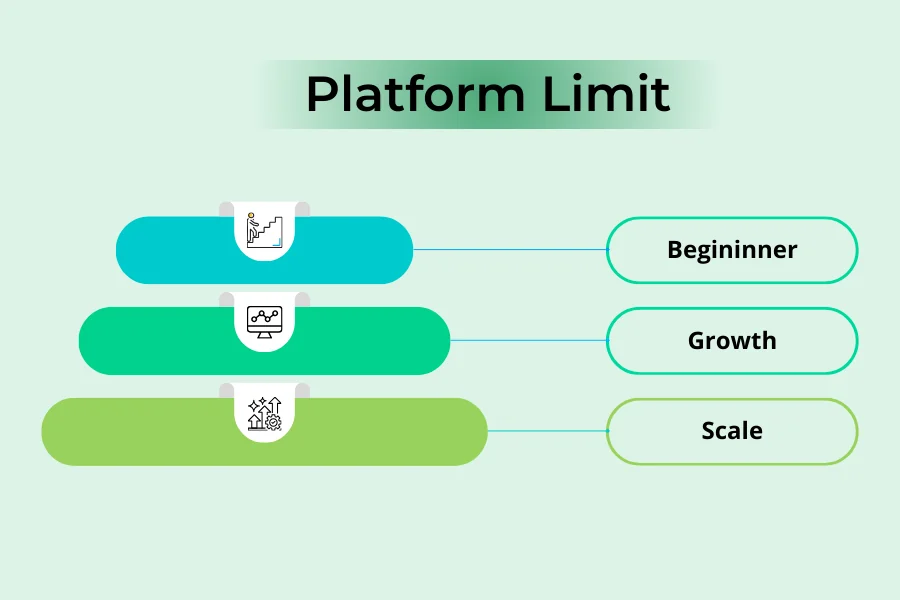 Wix SEO growth stages showing beginner, growth, and scale levels under platform limit